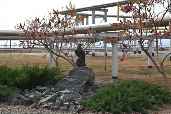 DSC_1802.JPG
