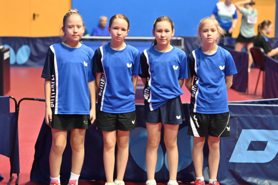 Чемпионат ПЛНТ. Высшие лиги